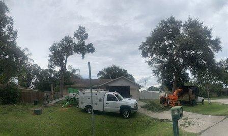 Elite Quality Tree & Stump-Grinding Llc