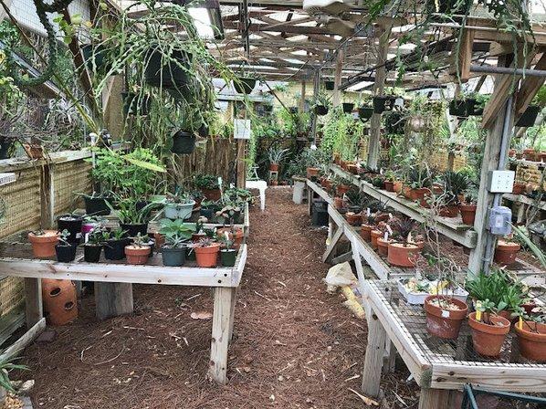 The Sarasota Succulent Society