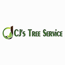 CJ's Tree Service - Sarasota Tree Service