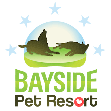 Bayside Pet Resort