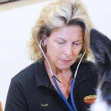 The Healing Place Veterinarian