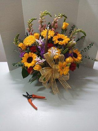 Blue Creek Florist Dunnellon