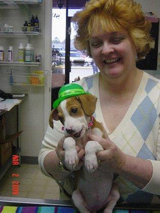 Homosassa Animal & Bird Hospital