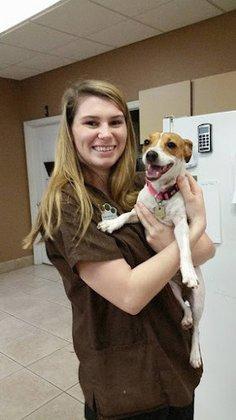 Country Oaks Animal Hospital