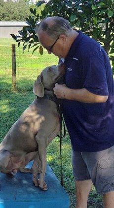 Sit Means Sit Dog Training Clermont