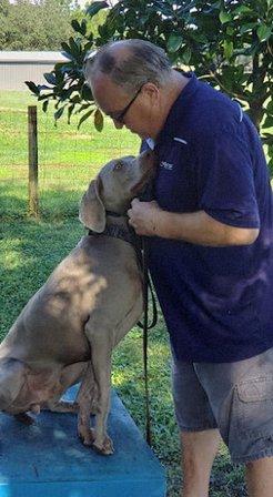 Sit Means Sit Dog Training Clermont