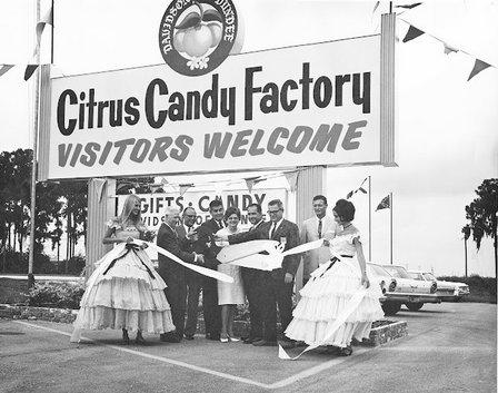 Davidson Citrus Shop, Inc