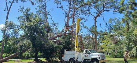 Art's Tree Service