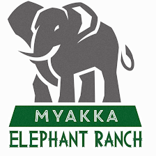 Myakka Elephant Ranch