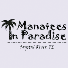 Manatees in Paradise