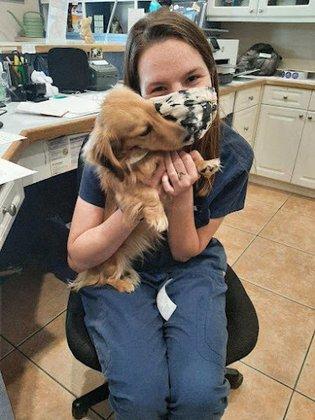 VCA Little Animal Hospital