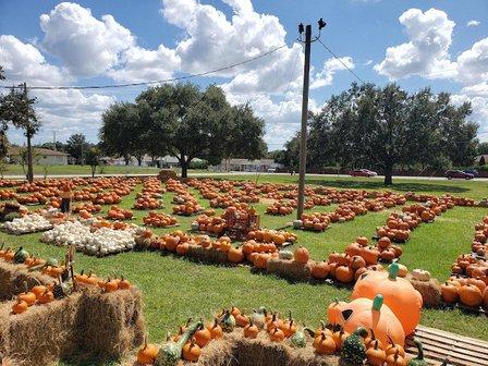 Pumpkin Patch @ the Presbyterian Church in the Highlands