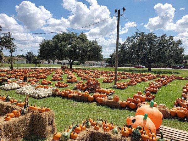 Pumpkin Patch @ the Presbyterian Church in the Highlands
