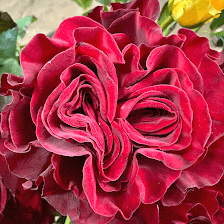 Sara's Flower Fashions