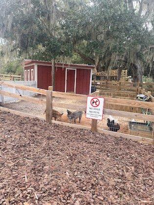 Agape Family Farms