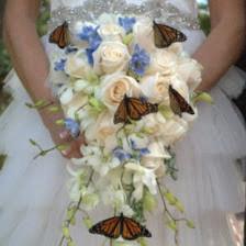 Flutterby Gardens of Manatee, Inc.