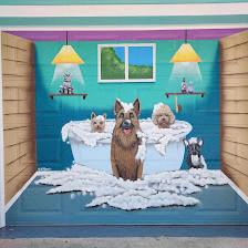 A Hair of the Dog Grooming