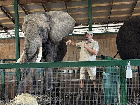Myakka Elephant Ranch