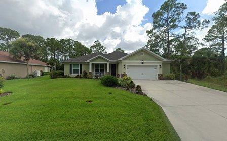 New Horizons Home Watch