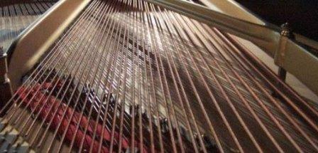 Melodic Pianos LLC