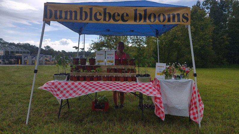 Bumblebee Blooms Farm