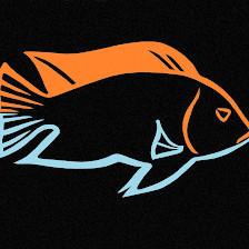 Finatic Aquatics