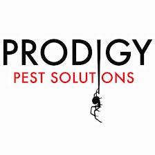Prodigy Pest Solutions