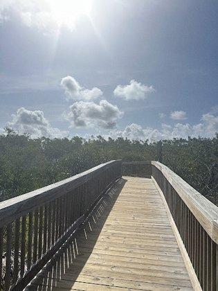 Grassy Pointe Preserve