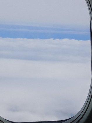 American Airlines
