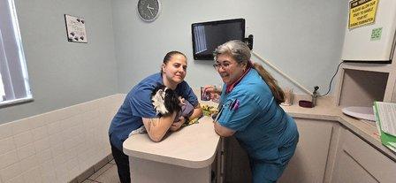 Animal Medical Clinic of Spring Hill