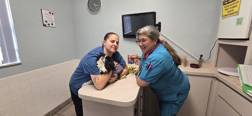 Animal Medical Clinic of Spring Hill