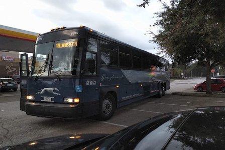 Greyhound