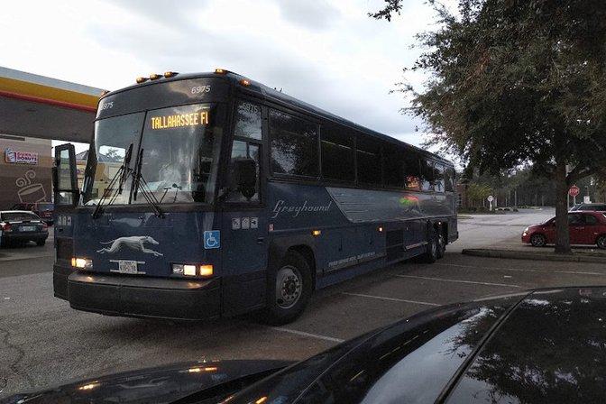Greyhound