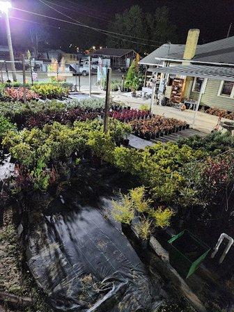 More than Mulch