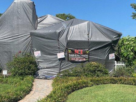 iCi Termite & Pest Control Inc.