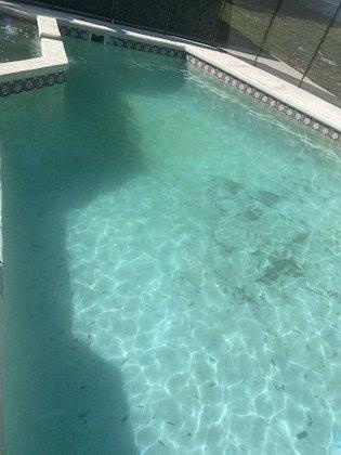 Clear Water Pools