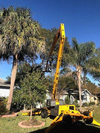 On Budget Tree Service LLC