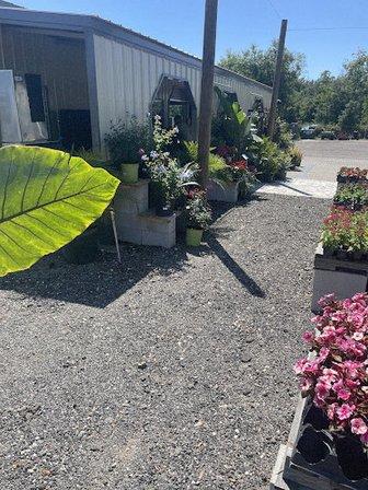 Contours Landscape Solution