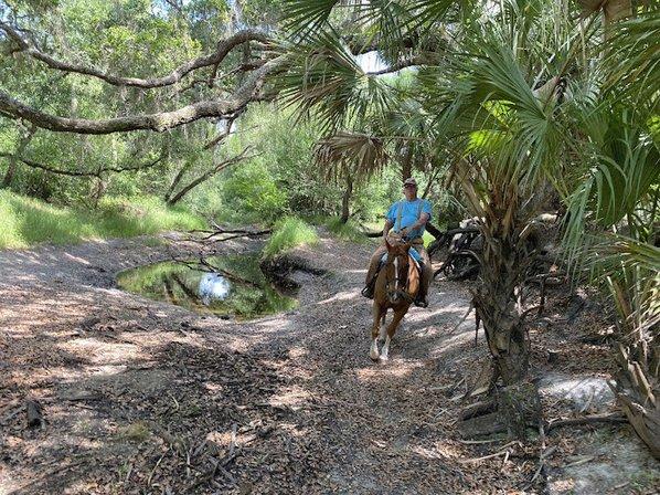 Windsong Farm and Equestrian Summer Camp / Clinic