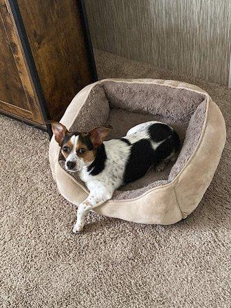 Humane Society at Lakewood Ranch