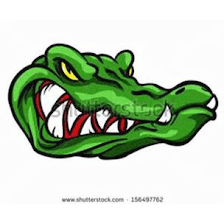 GATOR GUNS INC
