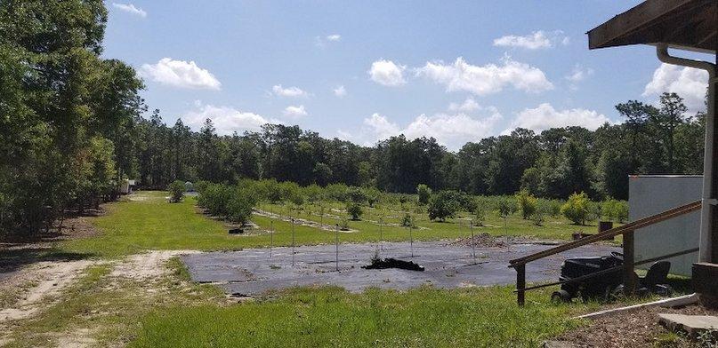 N. Sanchez Farms