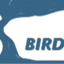 Bird Insurance Group Llc