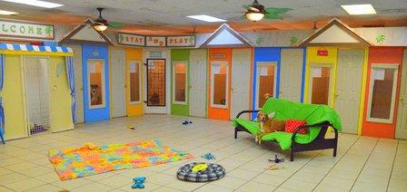 Stay & Play Pet Getaway