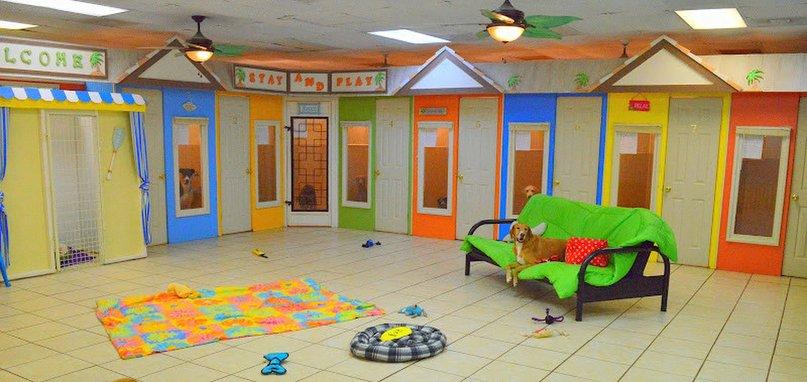 Stay & Play Pet Getaway