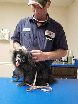 Dunham Animal Hospital