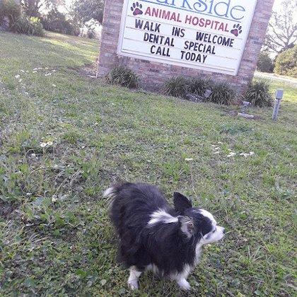 Parkside Animal Hospital