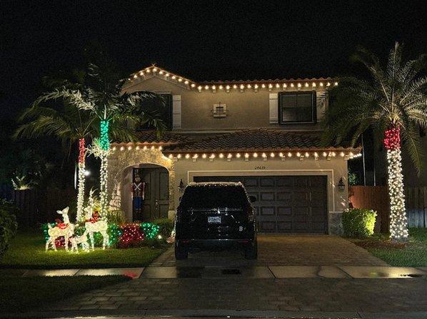 LucioLine Lanscape & Christmas Lighting