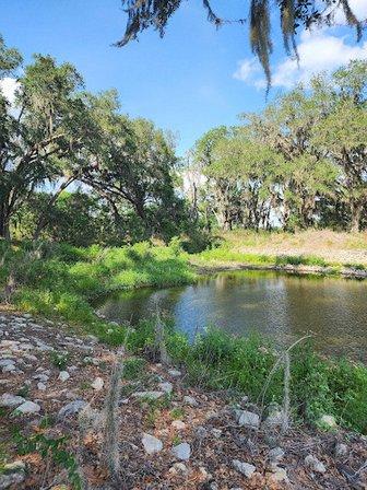 Itchepackesassa Creek Wetland
