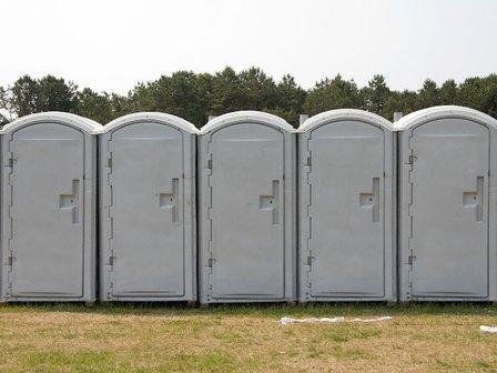 Potty Now Please of Bradenton
